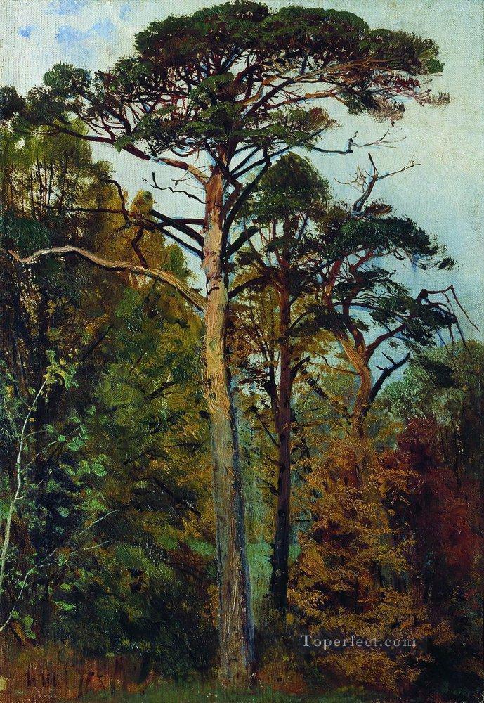 pinos paisaje clásico bosque Ivan Ivanovich Pintura al óleo